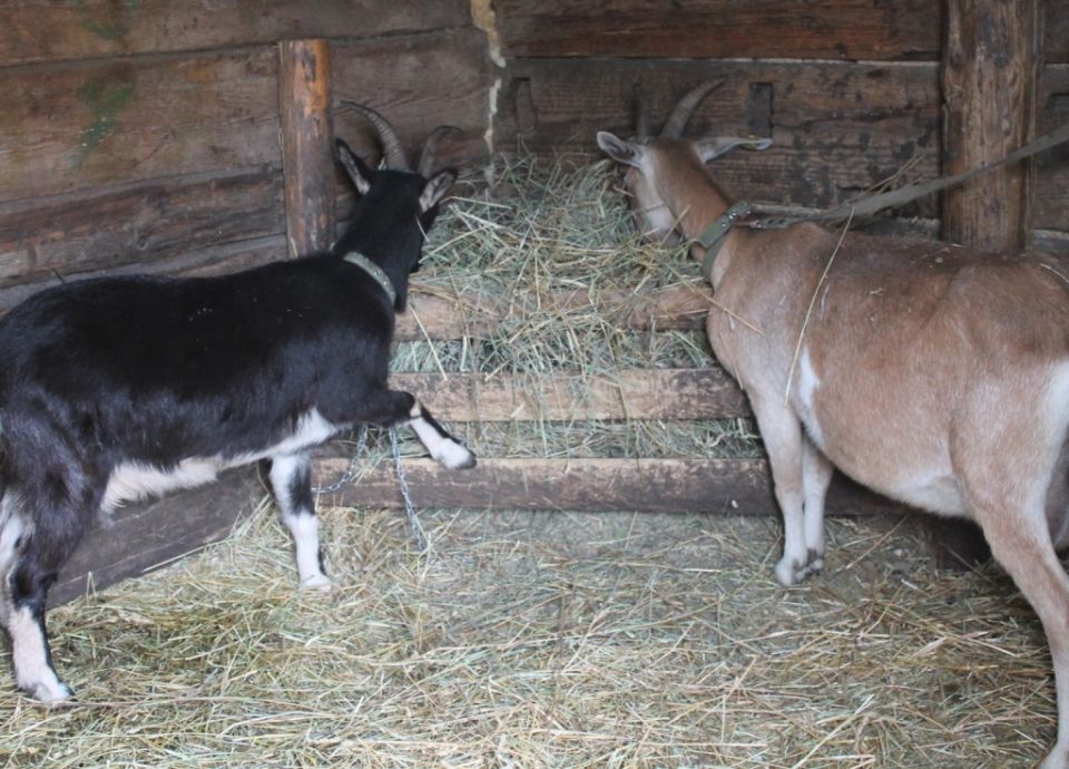 ���� �� ������ � ������ ������