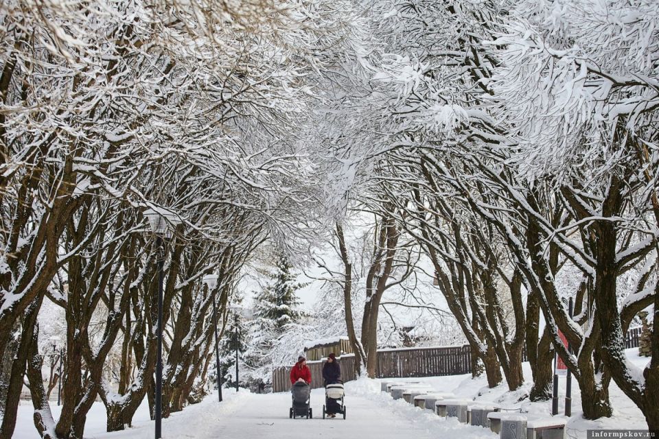 ����� ��������� � ����� ������� � ������� 2026 ����