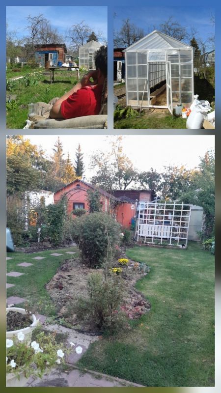 Преображение сада: как создать свое идеальное пространство на даче