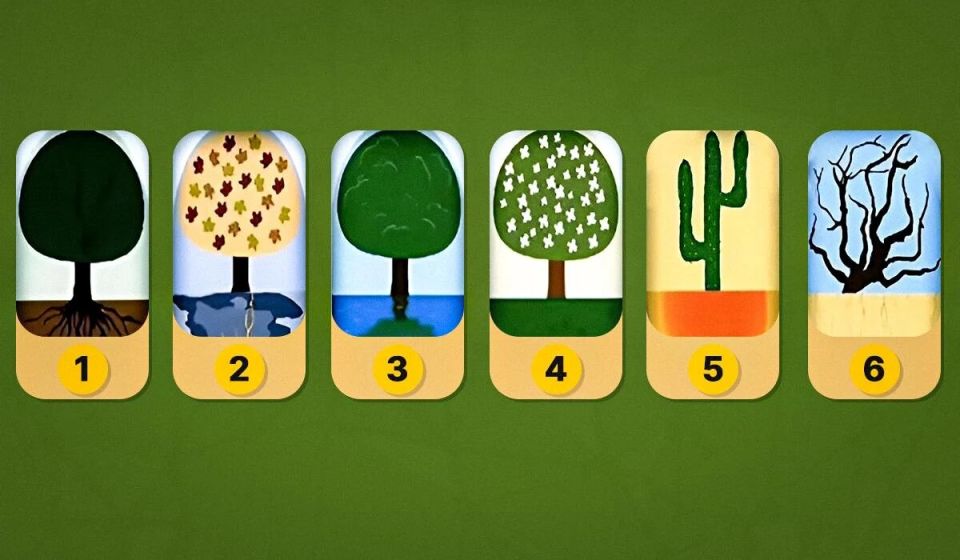 ��� ���� ������ ������ �� ���������� ����: ���������� ���� �� ��������