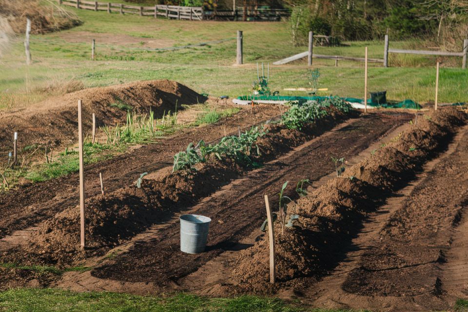 ��� ������� ����� � ����� ����� ��������: ������ ������ ���������