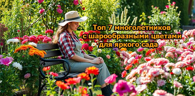 ������ ������� ��������: ��������� ������������ ��� ������ ����