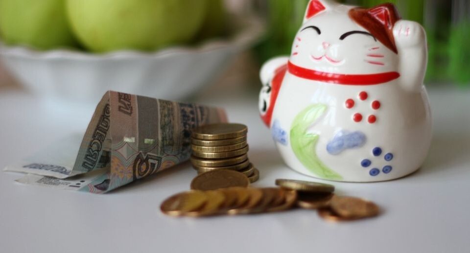 �������� ������������ ����������: ��� ������ ����� ������� ��� ����������?